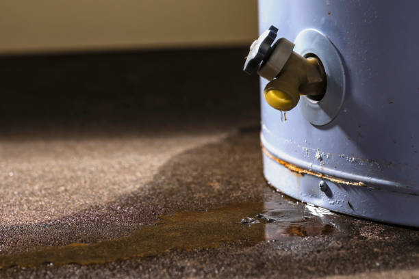 Best 24/7 water damage repair  in Wichita, KS