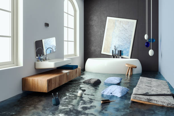 Best Flood damage cleanup  in Wichita, KS