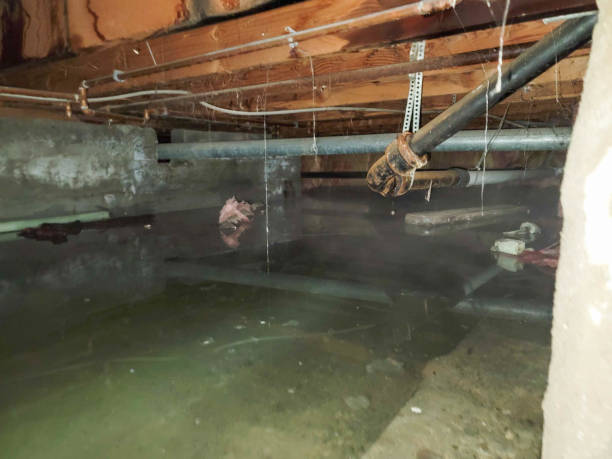 Best Water damage restoration mold remediation  in Wichita, KS