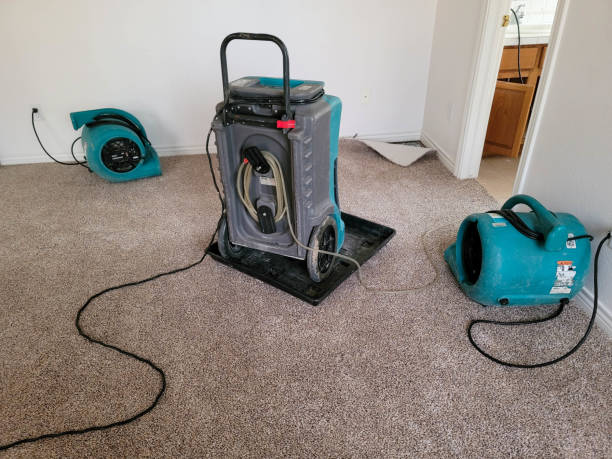 Best Residential water damage restoration  in Wichita, KS