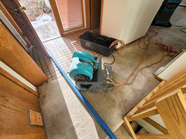 Best Basement water damage restoration  in Wichita, KS
