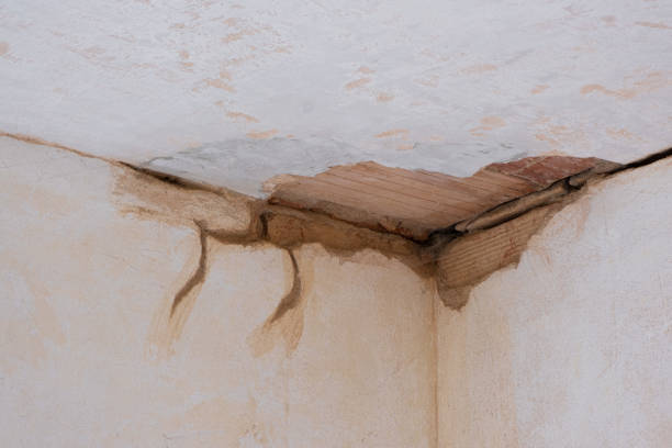 Water damage restoration mold remediation in Wichita, KS