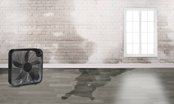 Best Ceiling water damage repair  in Wichita, KS