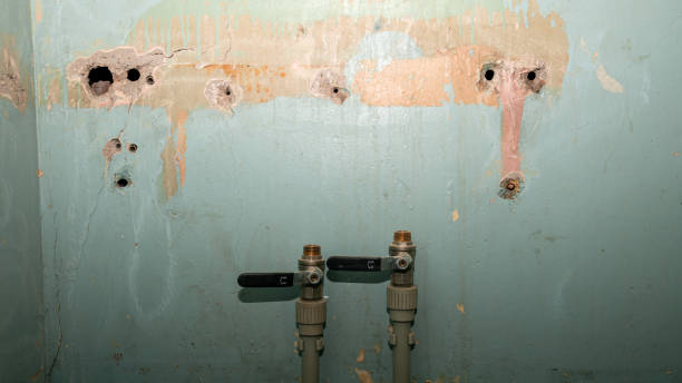 Best Mold removal after water damage  in Wichita, KS