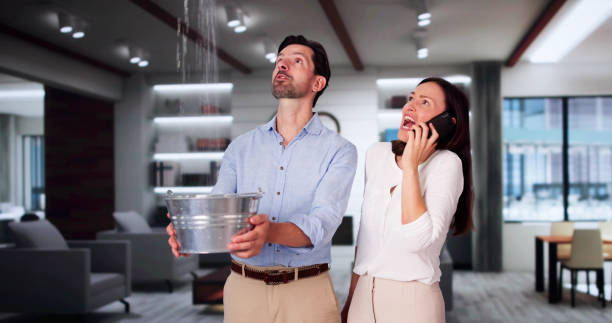 Best Flooded house restoration  in Wichita, KS